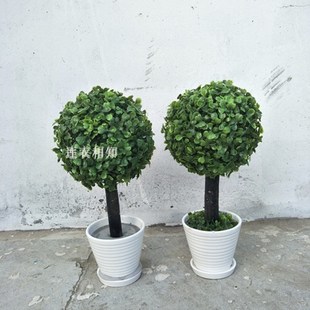 仿真草球树假树黄杨m树草球树米兰大型绿植仿真花欧式造型盆栽落