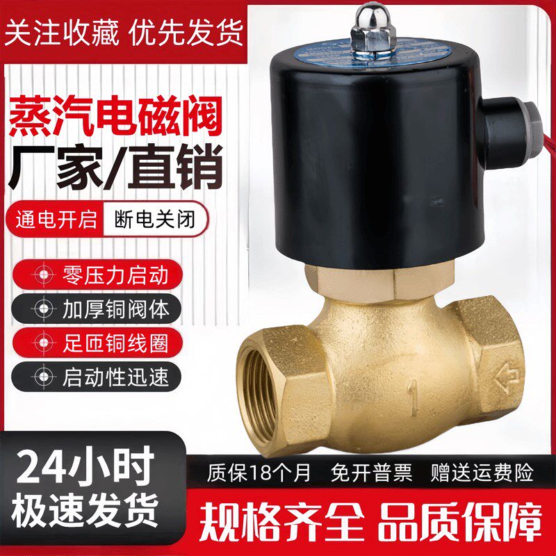 耐高温蒸汽阀电磁阀DN15/20/25/35/40/50蒸气阀4分6分1寸220V 24V