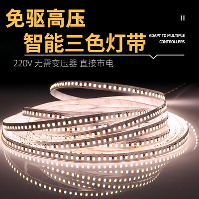 220V高压LED灯带8mm三色变光灯条
