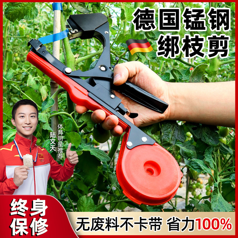 速发绑枝番猕萄西红柿绑枝神器农用机机茄葡猴桃绑枝绳