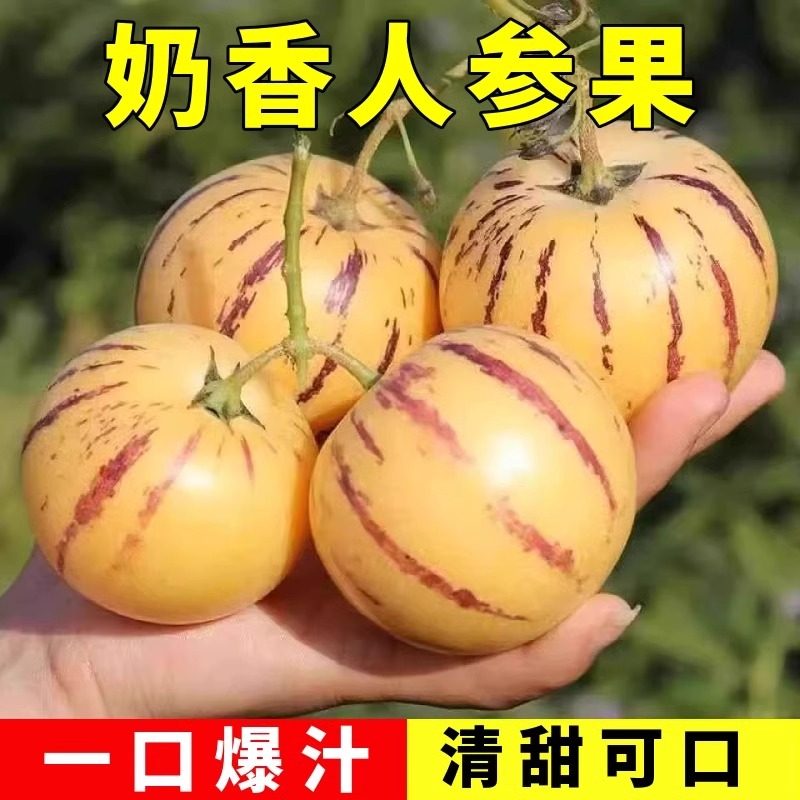人参果种籽水果甜瓜种子多年生肉多皮薄多汁四季阳台盆栽香瓜种孑,鲜花速递/花卉仿真/绿植园艺,家庭园艺种子,淘宝优惠券,粉丝福利购,淘宝优惠卷