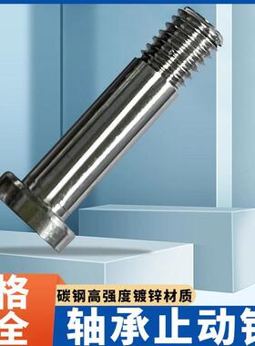 304不锈钢粗牙轴承用止动销BGPS4/5/6/8/10-7/8/9/11-15/20/25/30