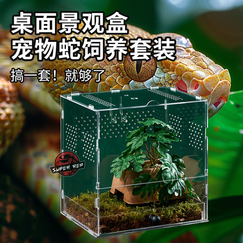 宠物蛇专用饲养套装爬宠压克力饲养盒小型造景小蛇苗幼体爬虫盒子