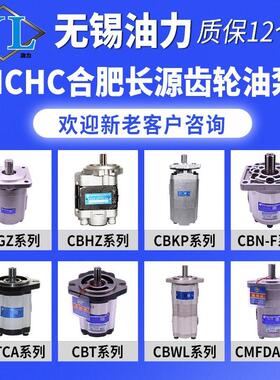 合肥长源泵 CBHZA-F30-AF&L  CBHYA-G32/F3.5-AT& CBKa-G425-AT&L