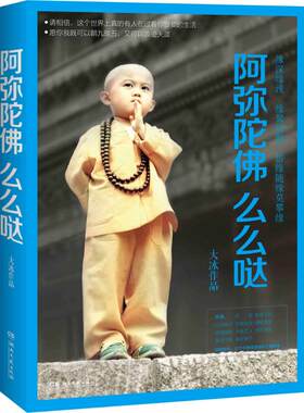 阿弥陀佛么么哒 大冰 湖南文艺出版社