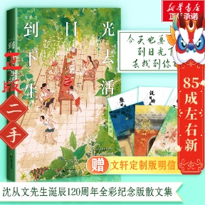 沈从文:到日光下去生活 沈从文 中国致公出版社