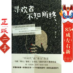 寻欢者不知所终 阿丁 中国华侨出版社