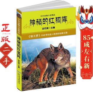 中外动物小说精品神秘的红狐阵 沈石溪 安徽少年儿童出版社
