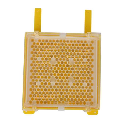 现货供应育王盒套餐育王盒王台基王台保护罩育王工具繁殖蜂王