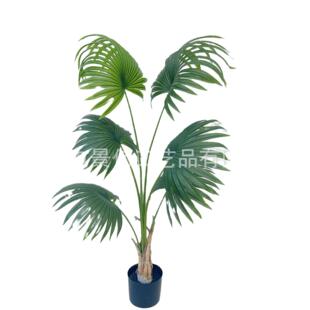 仿真热带加州蒲葵仿真绿植盆栽客厅落地圆叶扇葵树绿植摆件