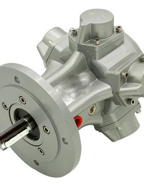 气动马达F-075马达活塞式大功率马达3/4