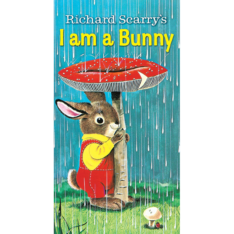 现货 英文原版 I Am a Bunny 我是一只兔子 幼儿英语启蒙绘本