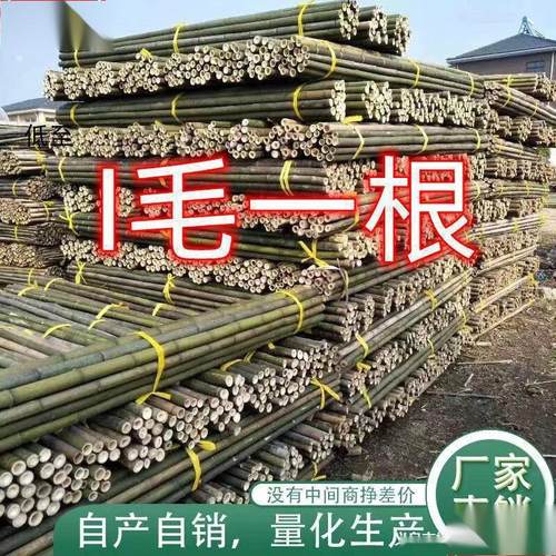 竹竿子搭架竹架子竹子杆菜园豆角黄瓜西红柿瓜果蔬菜架杆园艺支架