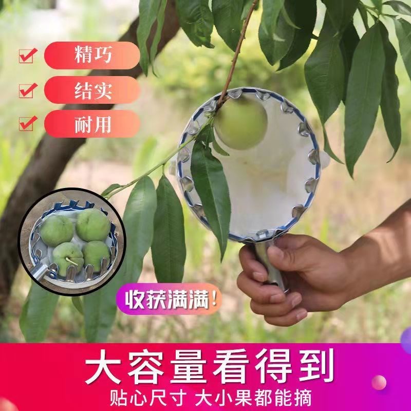 速发摘果神器伸缩杆新款不锈钢高空采摘杆水果摘柿子琵琶橘子桃杆