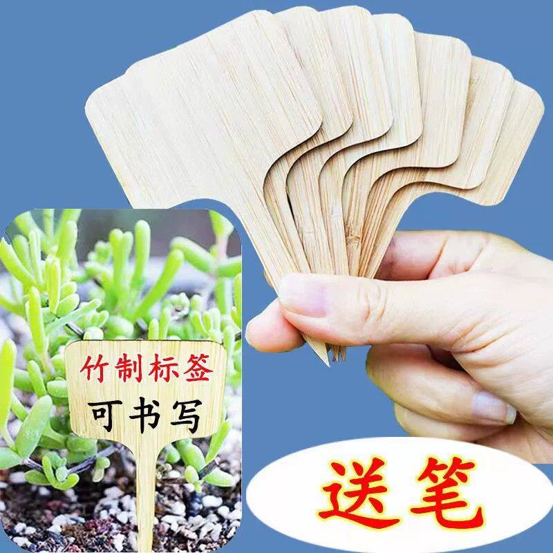 园艺花卉绿植物标签插牌幼儿园种植区牌子介绍牌盆栽标签标记