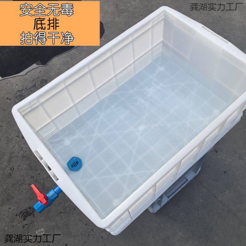 周转箱底部排水带排水阀乌龟周转箱可排水乌龟缸养鱼箱底部垒德株