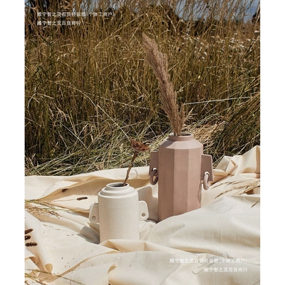 银雏葵久伴插花家居桌面真干花花束小雏菊装饰摆件北欧风客厅