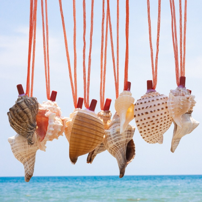 天然海螺号喇叭口哨儿童吹号玩具小螺号创意礼物大海螺号角套餐三