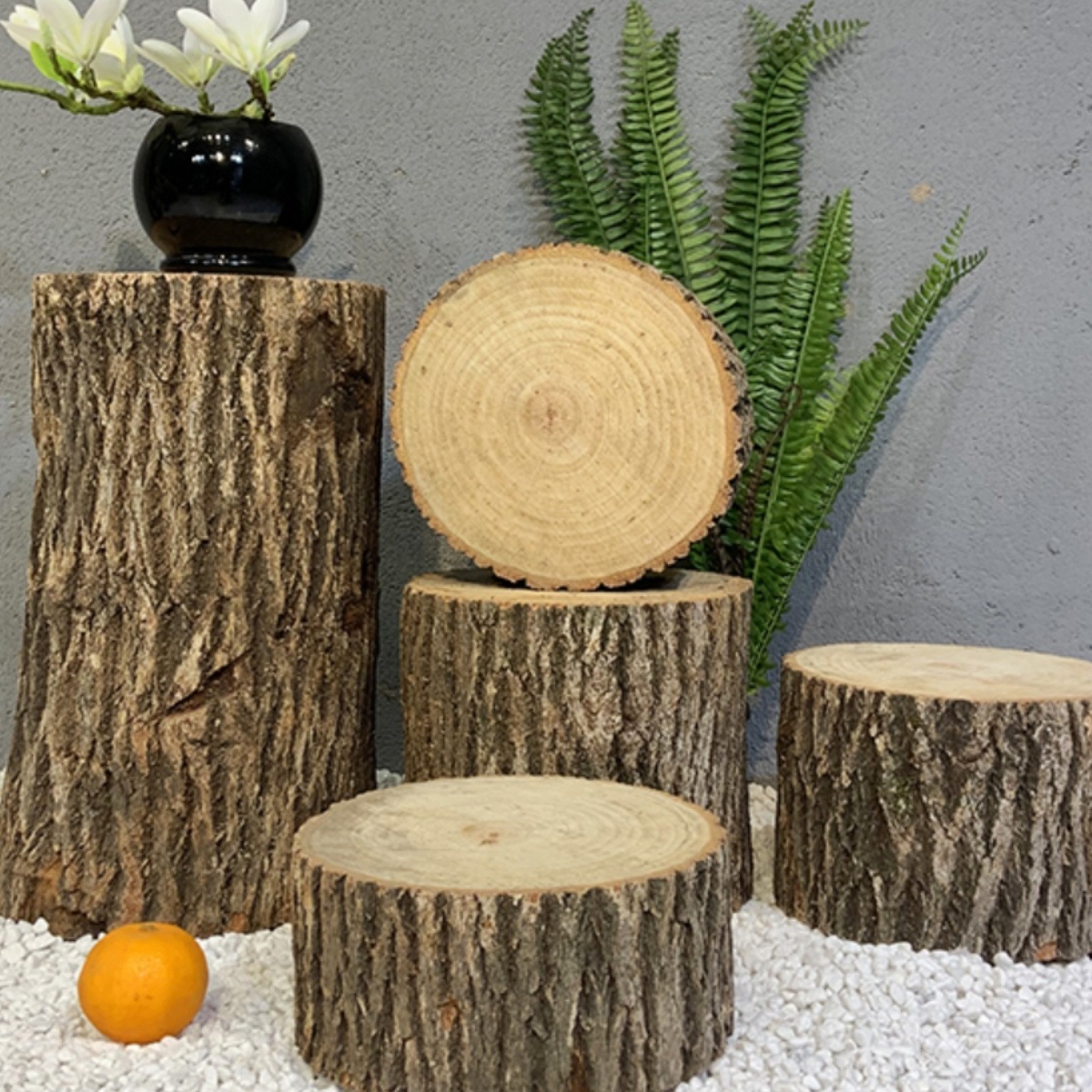 木墩 带树皮田园tian然树桩花架实木根雕香樟木原木摆件圆形