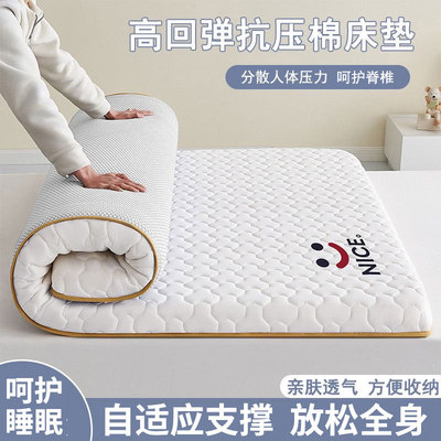 新款牛奶丝床垫家用卧室床褥垫学生宿舍单人床垫租房专用软垫垫子