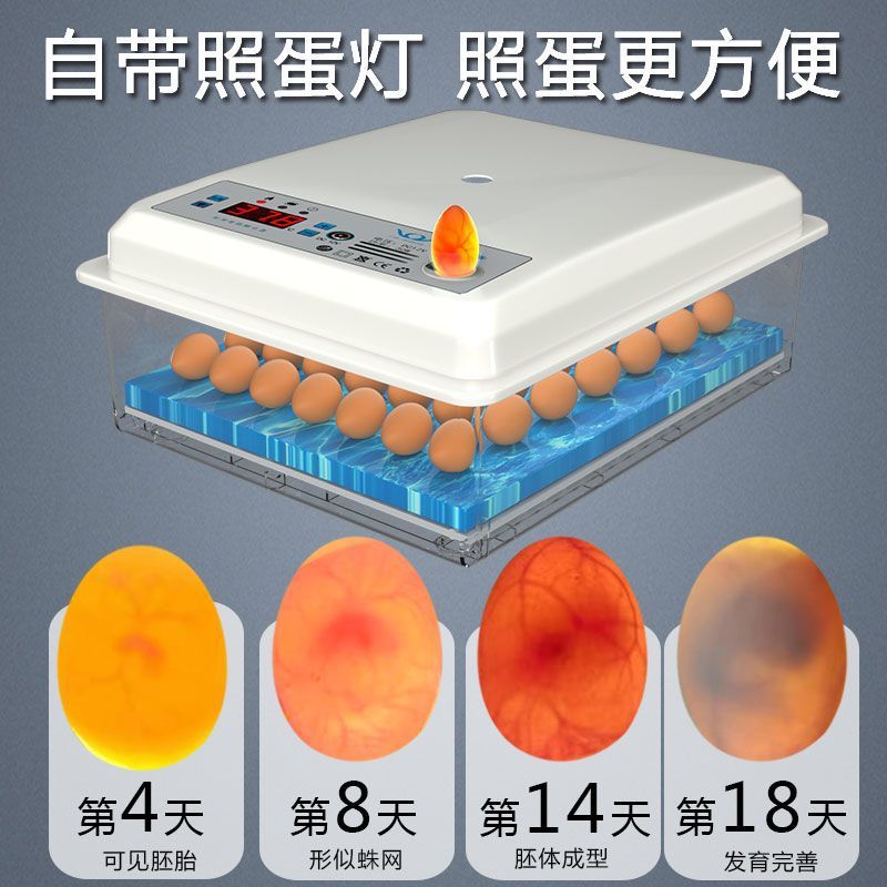 小型家用智能水床孵化器鸡鸭鹅鸽孵蛋器孵小鸡的机器半自动孵化器