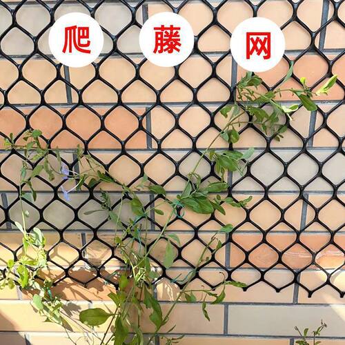 蔷薇爬藤网月季网花网格花架子球兰乌托邦花墙网格植物爬墙网