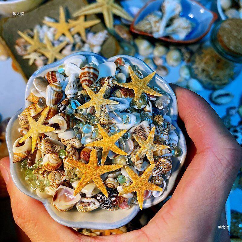 装饰摆件小贝壳漂流瓶400许愿瓶海星种组合海螺6颗约