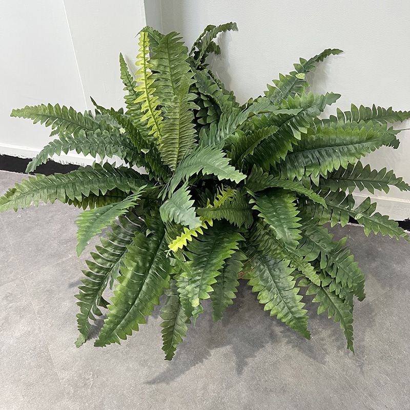仿真蕨类植物大波斯草仿真草28叶波斯蕨植物墙装饰波士顿蕨
