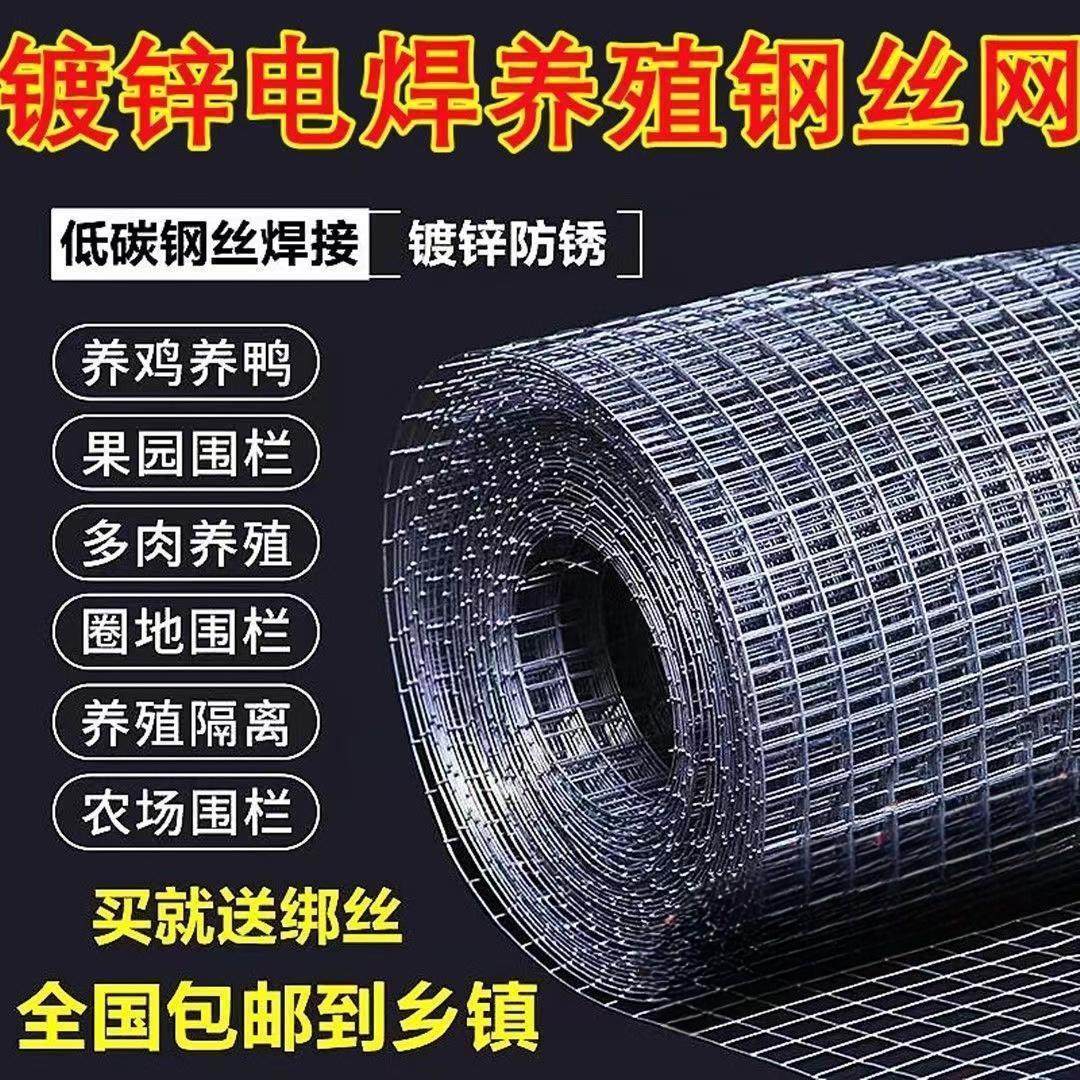 镀锌铁丝网加粗围栏防鼠防鸟隔离栅栏水泥防裂养殖圈地不锈钢筛网