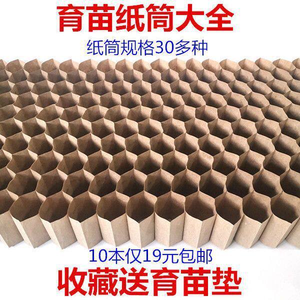 育苗纸筒蔬菜育苗蜂窝纸杯西瓜纸筒链条纸筒育苗盘营养育苗杯花盆