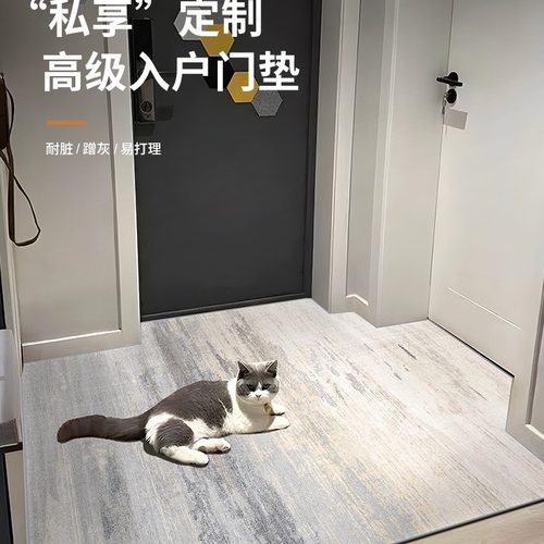 入户门地垫进门地毯门口门垫新款客厅免洗可裁剪定 制轻奢脚