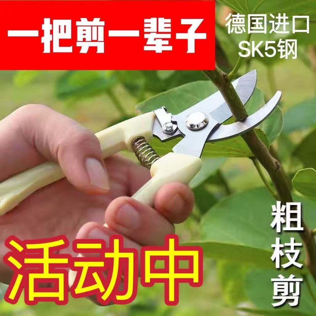 不锈钢园艺修枝剪果树花木嫁接