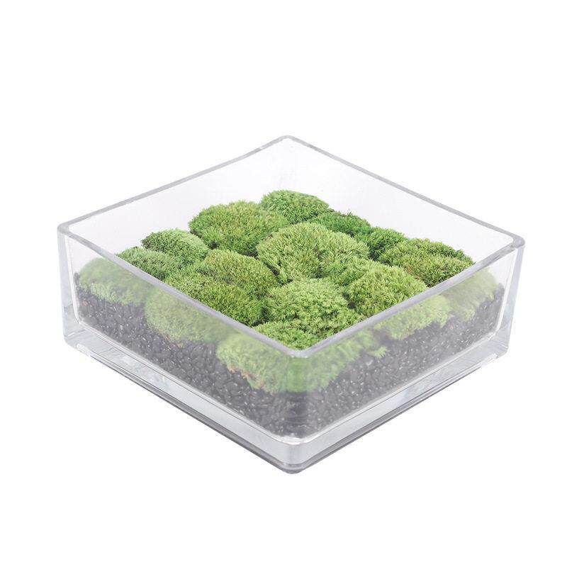 新中式仿真植物永生苔藓玻璃花器桌面装饰品家居客厅餐桌室内摆件
