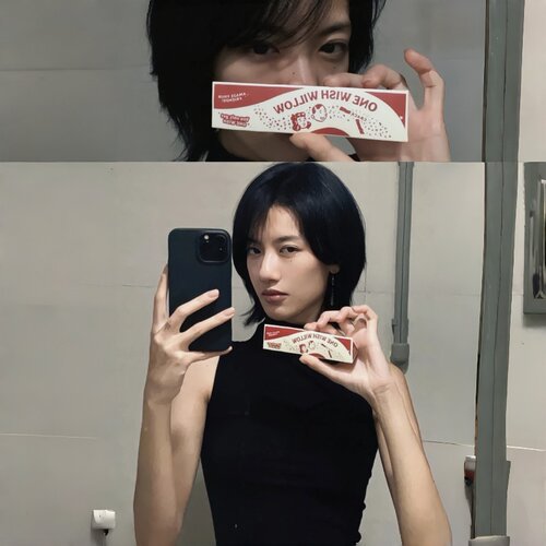 许愿柳支条痴迷Obsession同款黑色柳木祈愿棒周边3D打印摆件道具