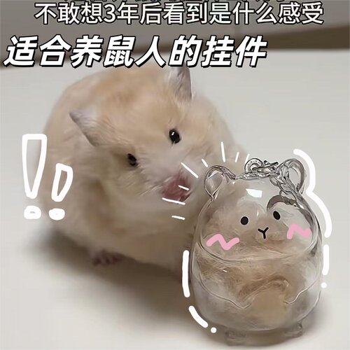 鼠鼠毛收纳挂件吊饰仓鼠纪念钥匙扣个性创意透明亚克力包包挂件