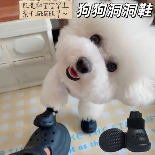 夏季狗狗洞洞鞋透气耐磨防脏