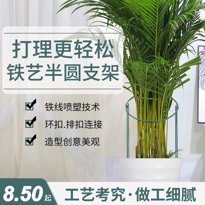 铁艺花架植物支撑半圆蟹爪兰绣球月季绿植爬藤植物花支架固定护叶,鲜花速递/花卉仿真/绿植园艺,花托/移动托盘,淘宝优惠券,粉丝福利购,淘宝优惠卷