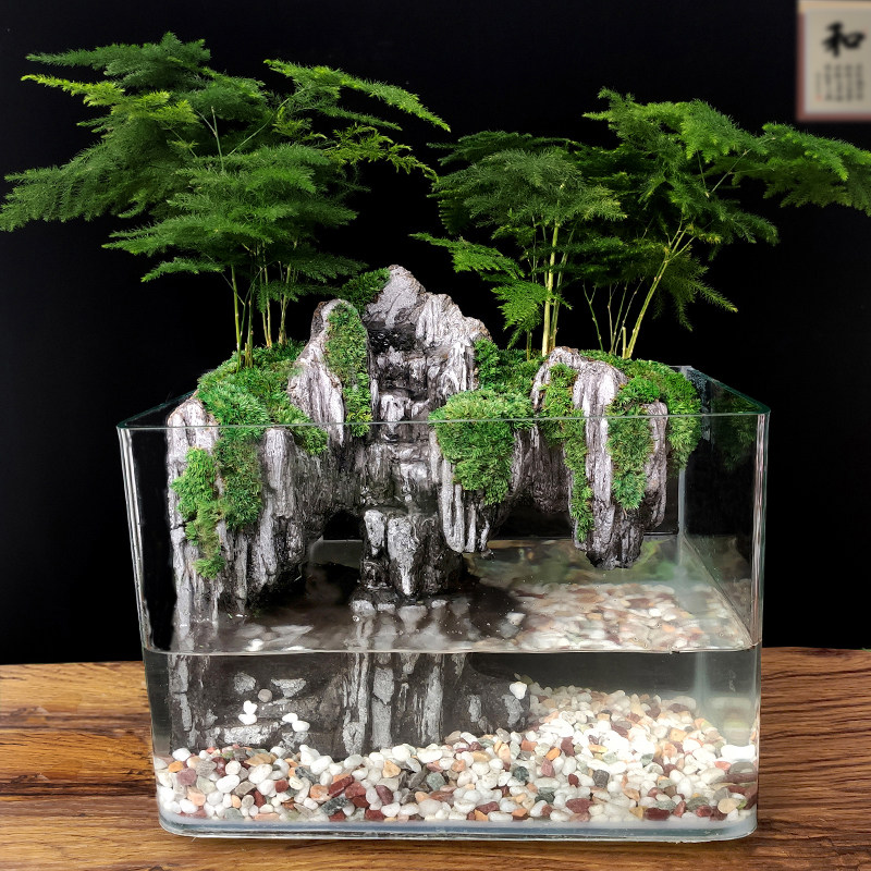 大鱼缸流水苔藓微景观生态瓶x乌龟盆栽盆景植物室内办公室水培绿