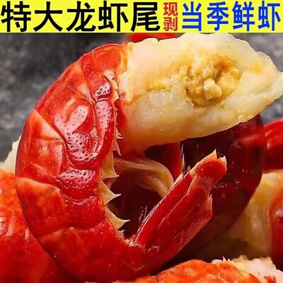 【特级95粒左右/斤无冰衣】新货精品龙虾尾小龙虾净重3斤包邮