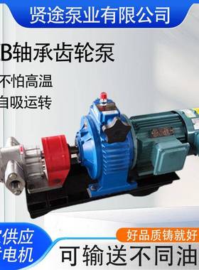 不锈钢轴承齿轮油泵汽油柴油输送泵KCB83.3型耐高温润滑油泵