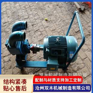 双木厂家生产移动式 YHCB系列防爆双向齿轮泵尼龙轮柴油汽油输送泵