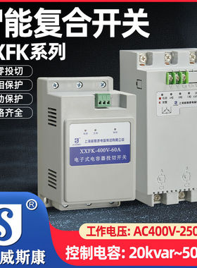 上海威斯康复合开关XXFK-400V-60A电容投切开关三相共补 250V分补