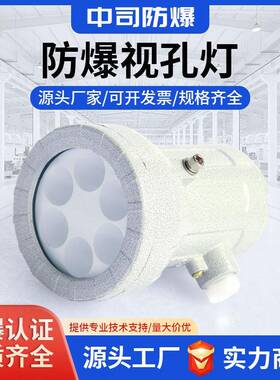 防爆视孔灯LED防爆反应釜灯照明灯BSD视镜灯5W10W延时探照灯24V22