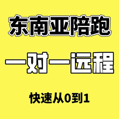 跨境电商一对一远程语音陪跑教学新手指导店铺运营咨询指导上架