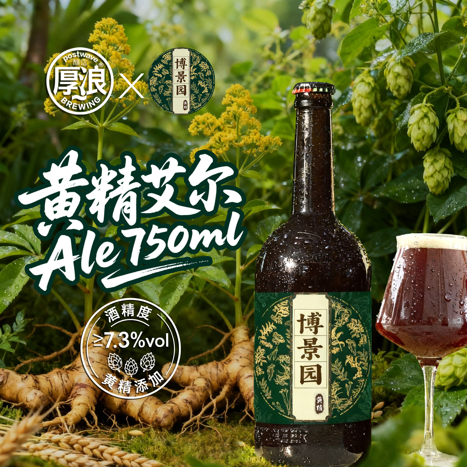 博景园&厚浪黄精艾尔精酿鲜啤酒中高度比利时修道院风格330ml