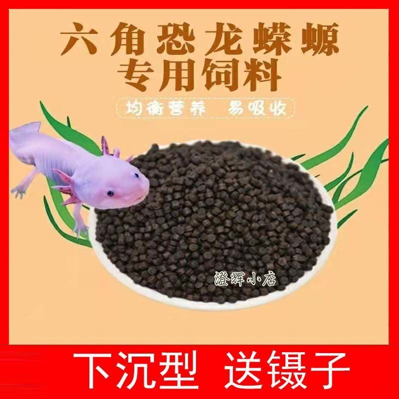 速发六角恐龙鱼鱼料小料龙鱼蝾螈鱼饲火娃娃鱼六角龙饲料小粒饲食