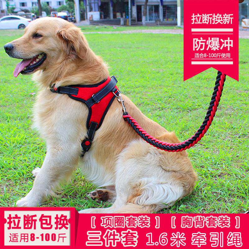速发金毛狗绳中多型犬狗链用拉布拉大背心式胸袋子品