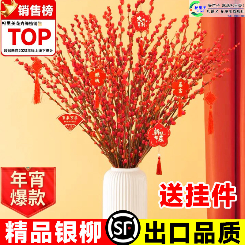 速发红色银财真花鲜枝干花盆栽摆件招柳绿植新花年宵年卉植物秋冬
