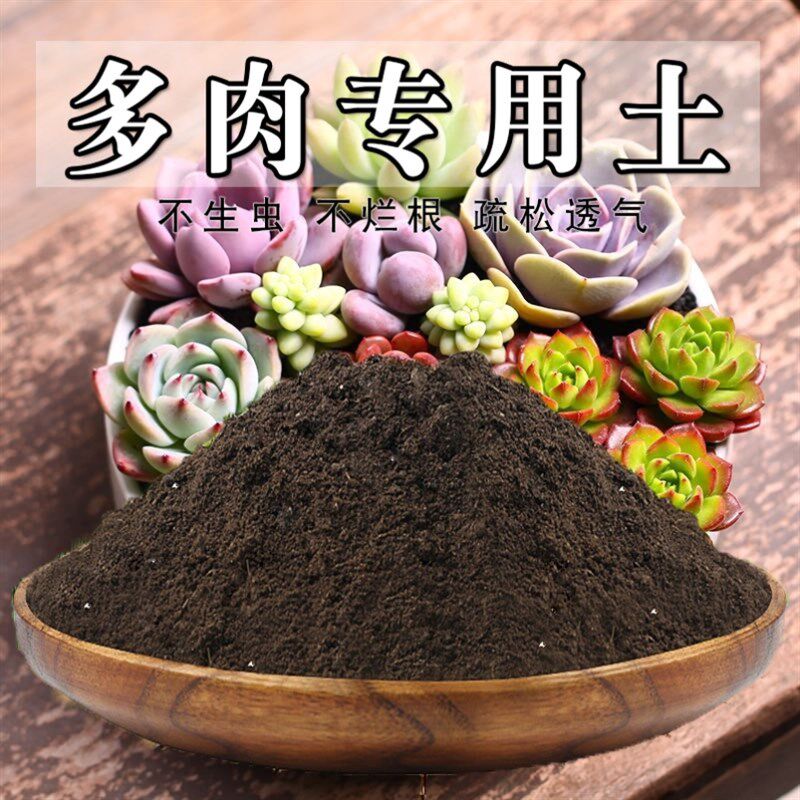 速发多肉土通用型花盆椰砖盆用多肉培养土种菜疏松家栽栽营土