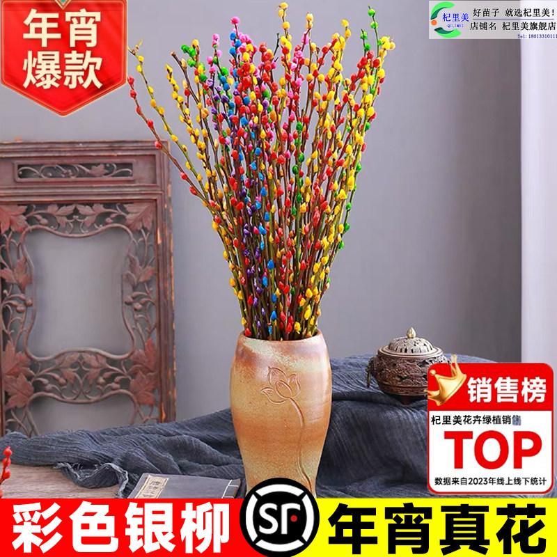 速发七彩银柳真养鲜挂年宵花卉红色福桶银柳水花招财干花盆栽枝饰